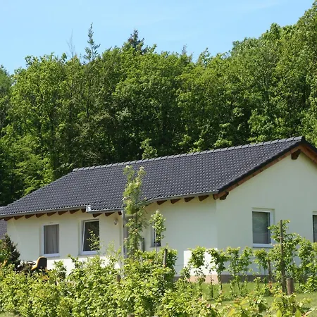 Near Eifel Lift
