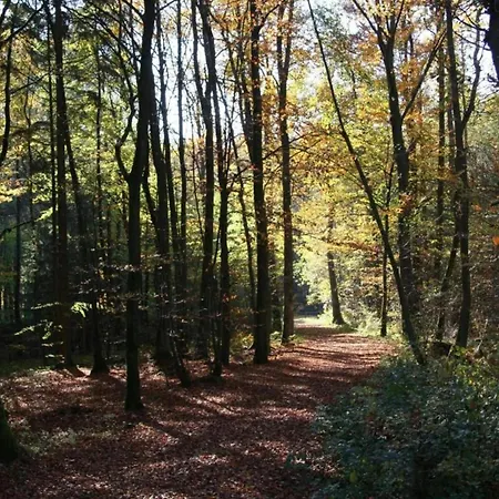 펜션 Near Eifel Lift