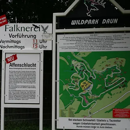 Near Eifel Lift 펜션 Hinterhausen