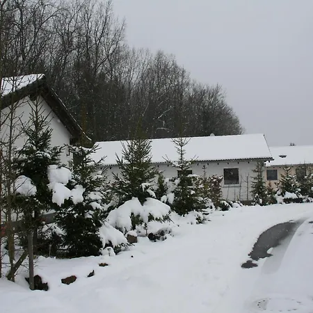 Near Eifel Lift 펜션 *